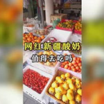 娱乐吃瓜团,揭秘娱乐圈幕后故事，带你领略明星们的真实生活