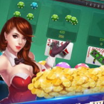 娱乐炫瓜姬吃席,一场视觉与味蕾的盛宴