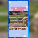 娱乐吃瓜鼠,揭秘娱乐圈那些不为人知的幕后故事