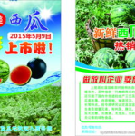 娱乐吃瓜酱超市促销单,优惠福利等你来拿！