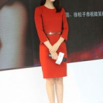 高圆圆的裙底图片,尽显女神风采